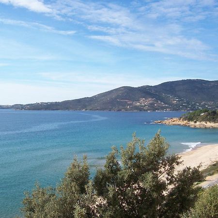 A Rena d'oru Sagone (Corsica) Exterior foto